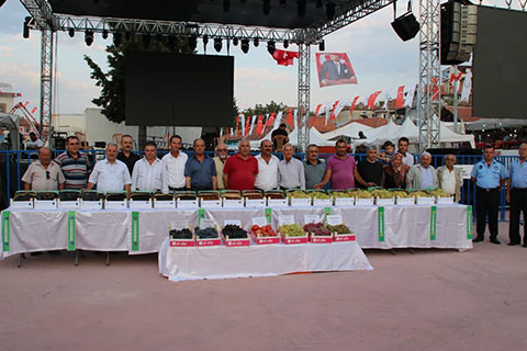 22. Çal Bağ Bozumu Kültür ve Sanat Festivali yapıldı