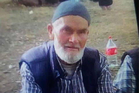 80 yaşındaki adam ceviz ağacından düştü