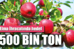 Elma İhracatında hedef 500 BİN TON