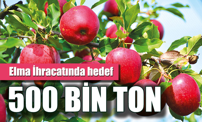 Elma İhracatında hedef 500 BİN TON