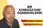 BİR KURBAĞA’DAN ÖĞRENDİKLERİM