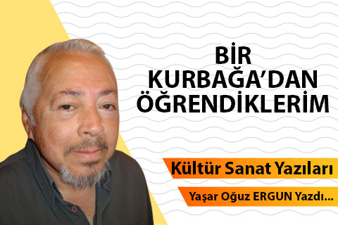 BİR KURBAĞA’DAN ÖĞRENDİKLERİM