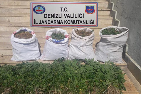 Tavas’ta uyuşturucu operasyonu