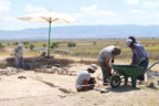 Höyükten 8 bin 750 yıllık kemik orak çıktı