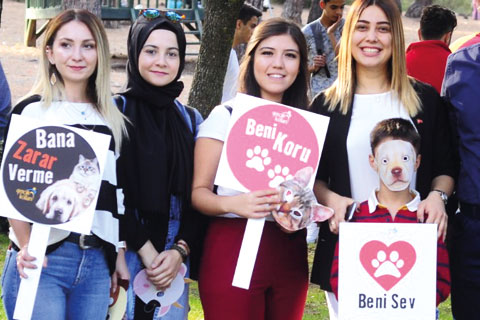 Sokak hayvanları için farkındalık yaratmaya çalıştılar