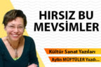 HIRSIZ BU MEVSİMLER