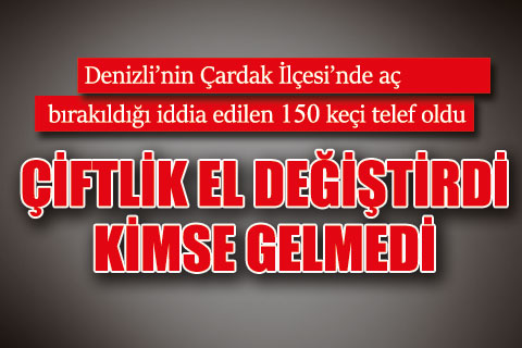 Denizli’de aç bırakıldığı iddia edilen 150 keçi telef oldu