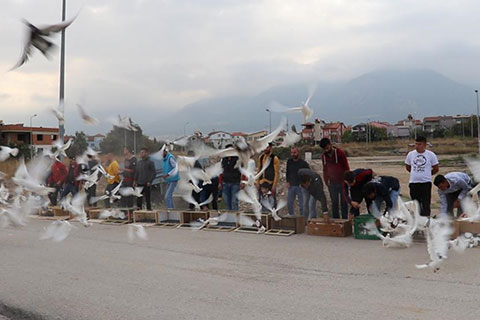Güvercinler dostluk için uçuruldu