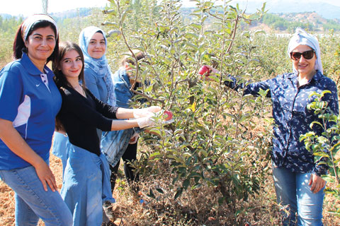 Çal Meslek Yüksekokulu’nda hasat şenliği