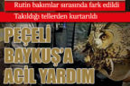 Rutin bakımlar sırasında fark edilen Baykuş takıldığı tellerden kurtarıldı