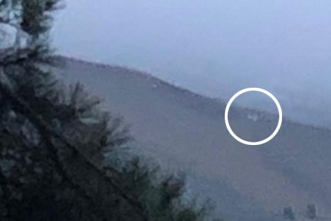 Ekipler enkaz olduğu düşünülen bölgeye ulaştı, ancak sonuç alınamadı