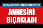 Okula gitmek istemeyen çocuk, annesini bıçakladı