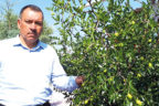 Denemek için Goji Berry dikti, ürün aldı