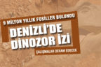 Denizli’de 9 milyon yıllık 14 farklı hayvan fosili bulundu