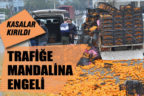 Yola dökülen mandalinalar trafiği aksattı