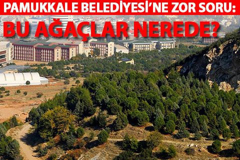 Pamukkale Belediyesi’ne zor soru: “Bu ağaçlar nerede?”