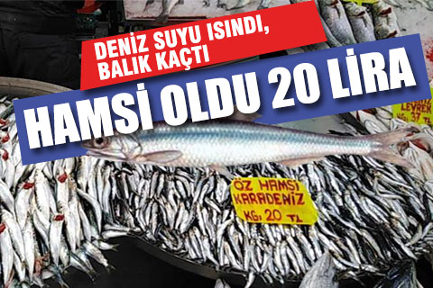 Soğuğa kaçan hamsi, tüketicisinin cebini soğuttu
