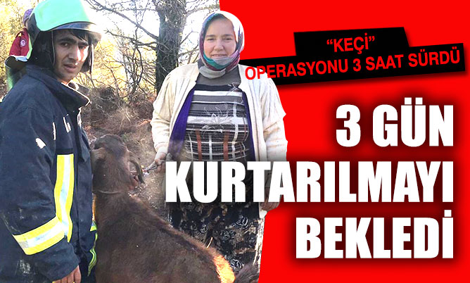 Kale Haberleri: Uçurumda mahsur kalan keçiyi itfaiye kurtardı 48