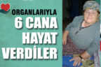 Organlarıyla 6 cana hayat verdiler