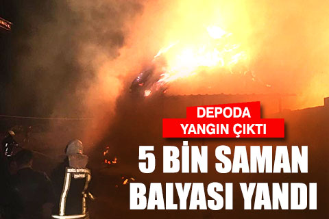 4 saatte 5 bin saman balyası kül oldu