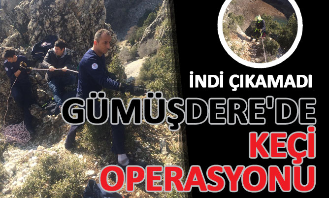 GÜMÜŞDERE’DE KEÇİ KURTARMA OPERASYONU
