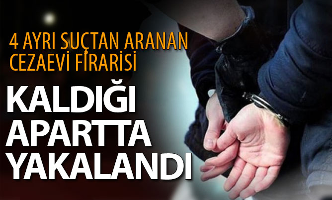 Cezaevi firarisi kaldığı apartta yakalandı