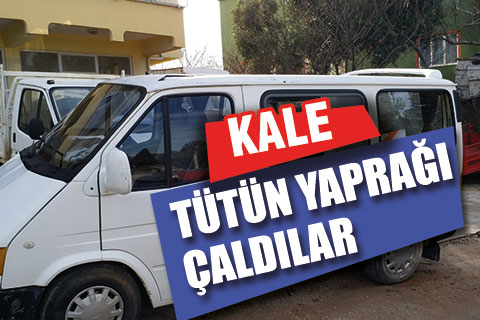 Tütün deposundan 6 koli yaprak çaldılar
