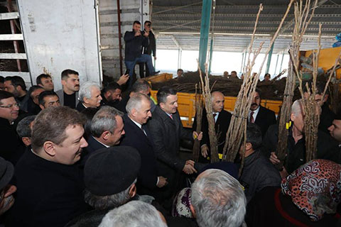 Tarım ve Orman Bakanı Bekir Pakdemirli ceviz fidanı dağıttı