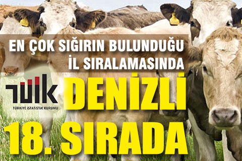 TÜİK, 2018 yılı hayvansal üretim istatistiklerini yayımladı