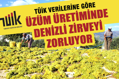 TÜİK verilerine göre Denizli’de 135 bin ton üzüm üretildi