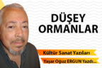DÜŞEY ORMANLAR