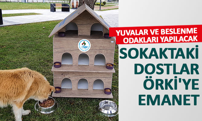 Sokak hayvanları Avni Örki’ye emanet