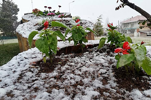 Kar geri geldi. O ilçe beyaza büründü