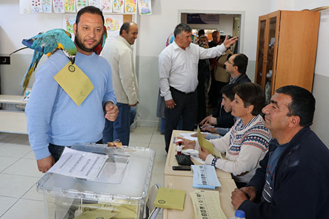 Papağanıyla sandığa gitti, oy kullandı