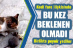 Kedi ve fare ilişkisi bu kez alışılmış görüntülere sahne olmadı