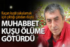 Kaçan kuşunu yakalamak isterken çatıdan düştü