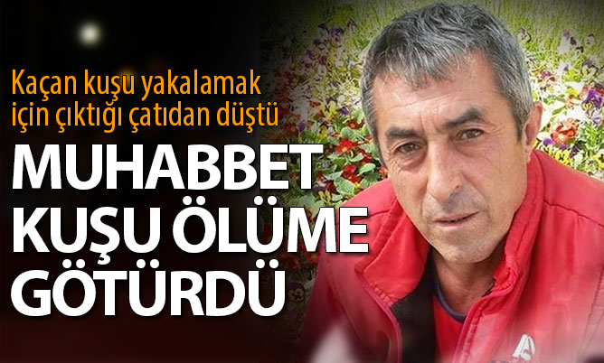 Kaçan kuşunu yakalamak isterken çatıdan düştü