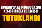 Ayrı yaşadığı eşinin boğazını kestiği iddia edilen koca tutuklandı