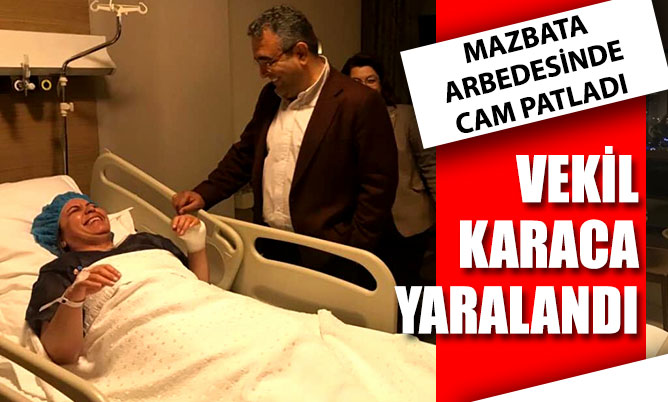 Karaca mazbata arbedesinde yaralandı