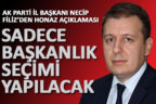 Filiz: “Sadece başkanlık seçimi tekrar edilecek”