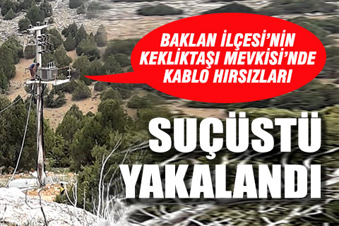 Trafodan kabloları çalarken yakalandılar