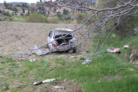 Tarlaya yuvarlanan otomobilin sürücüsü yaralandı
