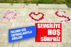Sevgilisinin yolunu gül yapraklarıyla süsledi