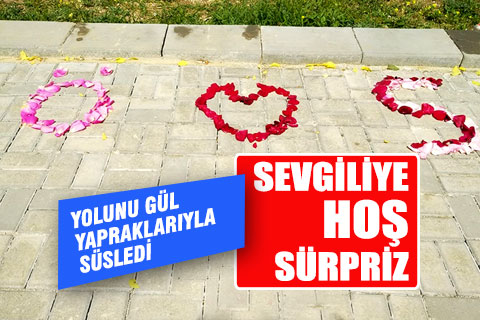 Sevgilisinin yolunu gül yapraklarıyla süsledi
