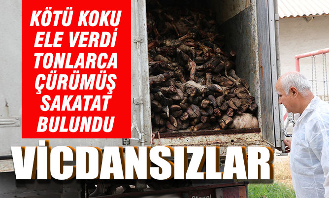 Tonlarca çürümüş ve kurtlanmış sakatat ele geçirildi
