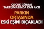 Parkın ortasında eski eşini bıçakladı
