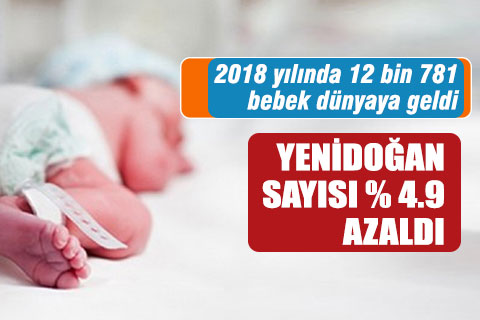 TÜİK 2018 yılı doğum istatistiklerini açıkladı