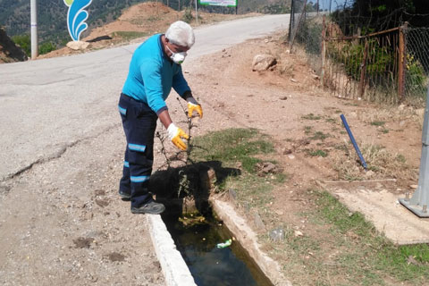HAŞERE VE KEMİRGENLERE KARŞI SAVAŞ AÇILDI