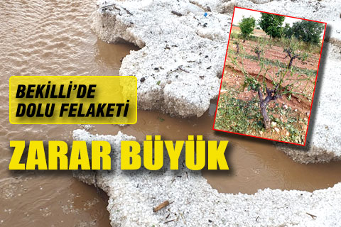 Bekilli’de şiddetli dolu yağışı üreticiyi vurdu