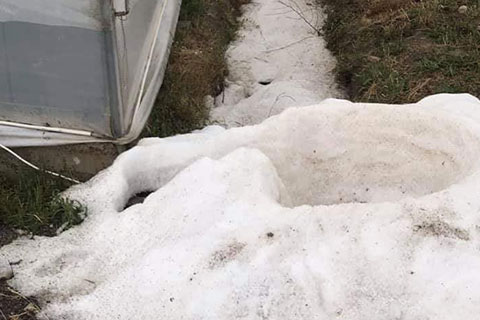 Dolu Çameli’de etkili oldu, hasara yol açtı